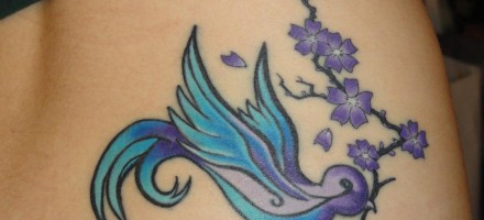 Sparrow w/ cherry blossoms Sparrow w/ cherry blossoms