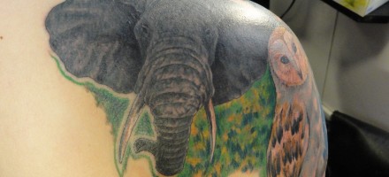 Elephant Elephant