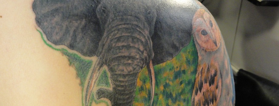 Animals