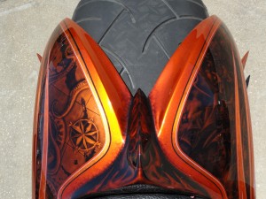 Pirate bike rear fender