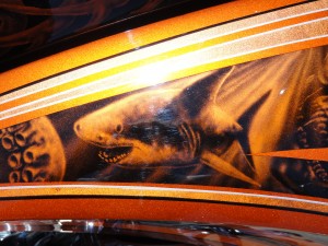 Pirate bike shark detail