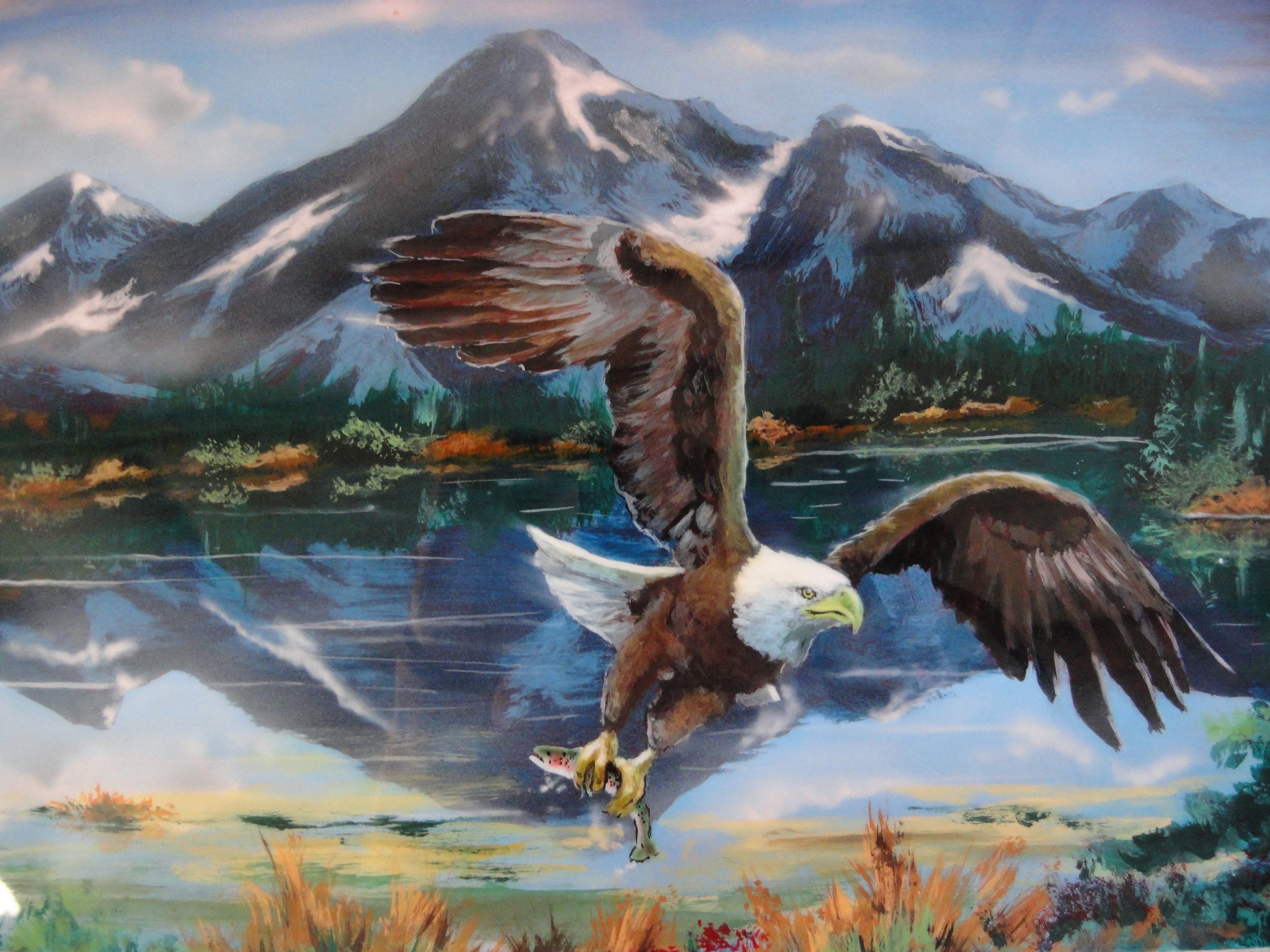 Eagle with rainbow trout